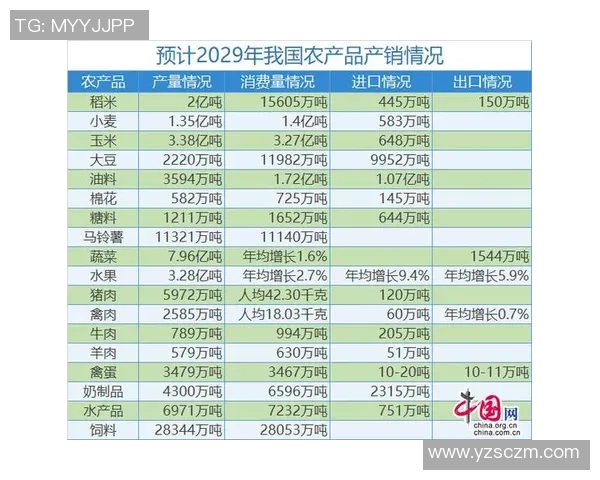 深圳排球队实力分析与发展潜力探讨及未来展望